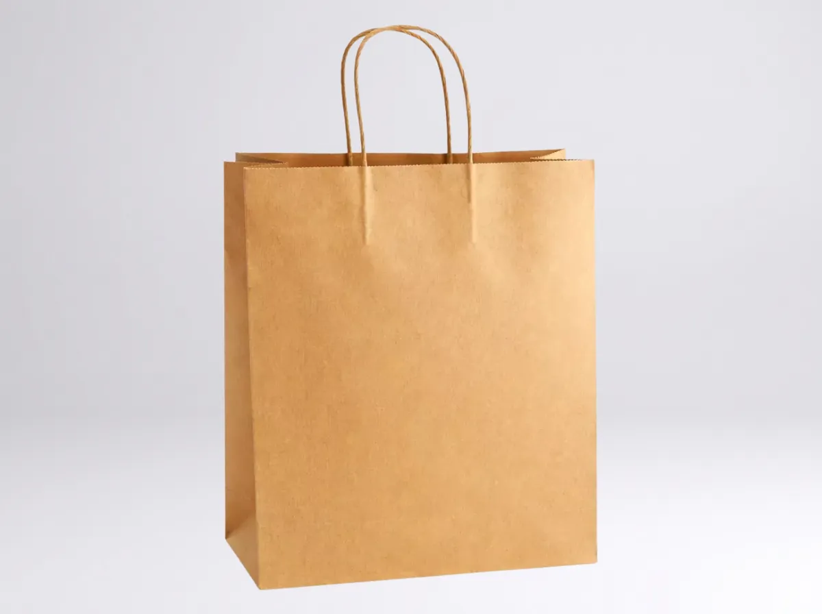 Brown Paper Bags