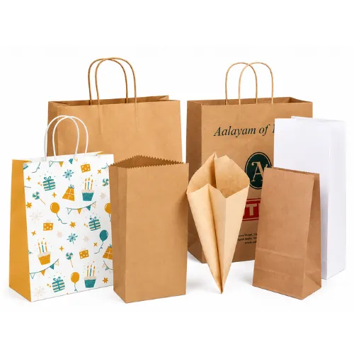 Paper Bag Manufacturer and Wholesale Supplier in India
