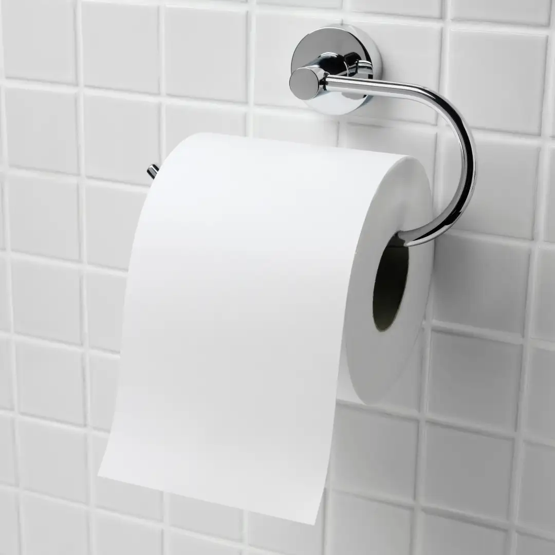 Toilet Roll Application